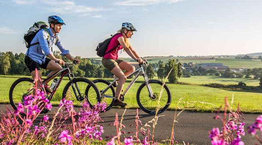 Cycle tour - Giant Forests