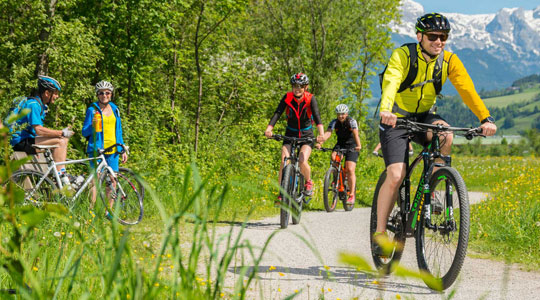 Cycle tour - Giant Forests